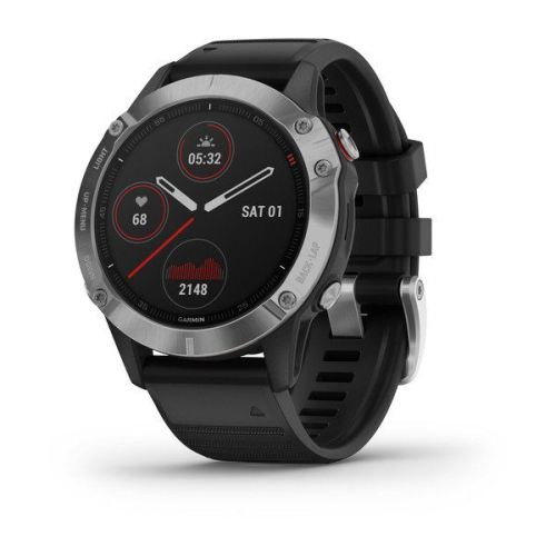 Часы GARMIN Fenix 6 (Silver/Black Band)