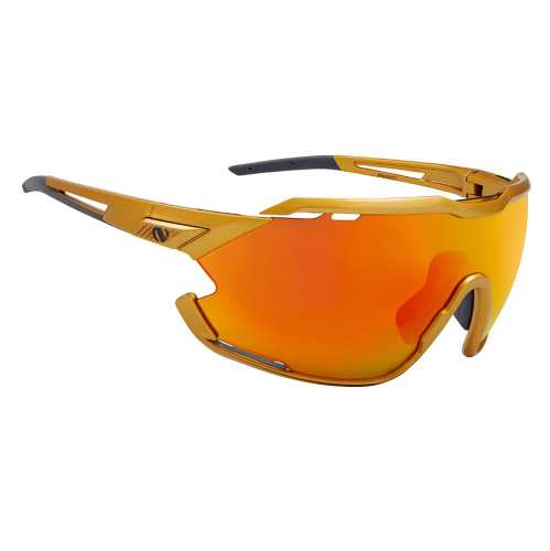 Мультиспортивные очки NORTHUG GOLD PERFORMANCE GOLD Narrow