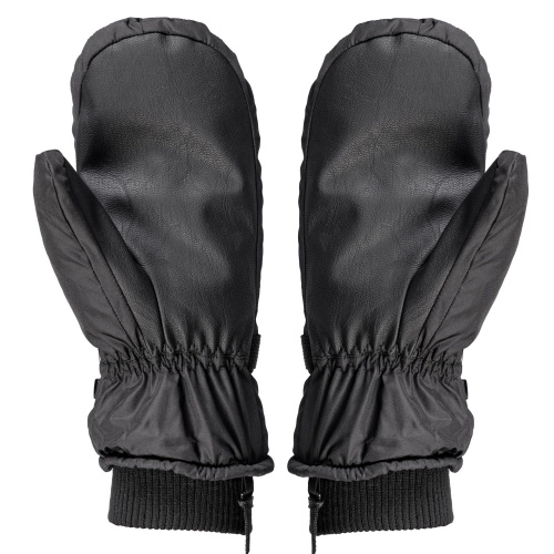 Варежки горнолыжные White Owl Pro Mitt Mns, мужские, черный